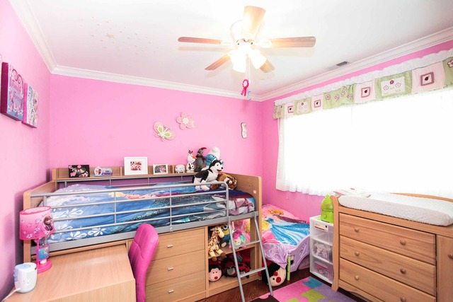 421 Lillian Ln, Des Plaines, IL 60016 photo 14
