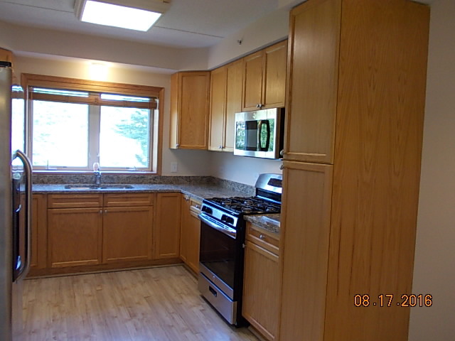1378 Perry St #304, Des Plaines, IL 60016 photo 7