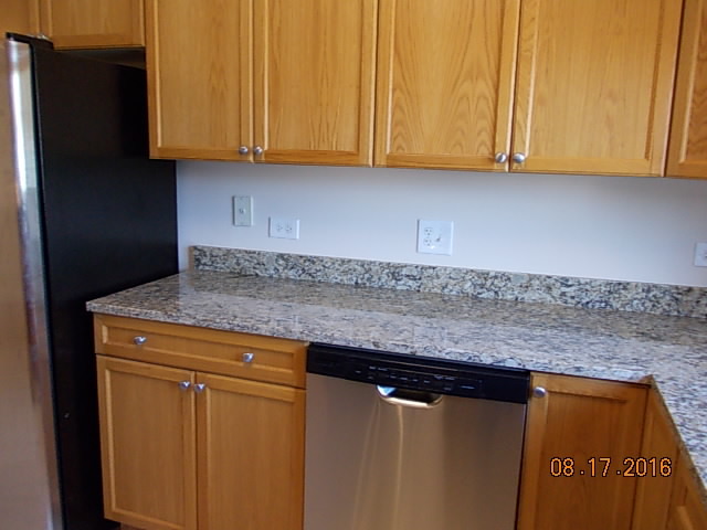 1378 Perry St #304, Des Plaines, IL 60016 photo 9
