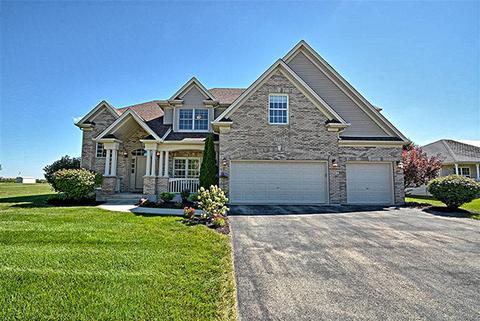 13127 Blackstone Ln, Plainfield, IL 60585 photo 1