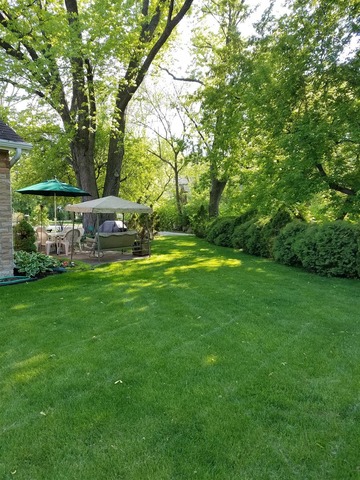 411 S Lyman Ave, Des Plaines, IL 60016 photo 23
