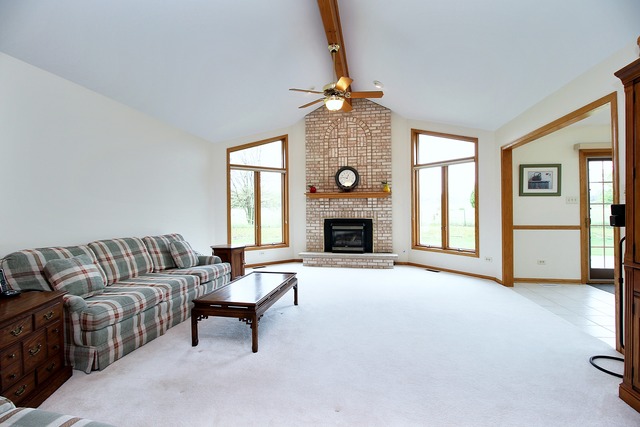 19952 Pinegrove Dr, Mokena, IL 60448 photo 5