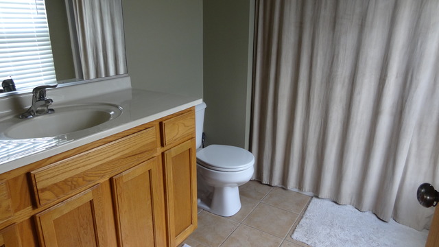 229 Walker Dr, Elburn, IL 60119 photo 9