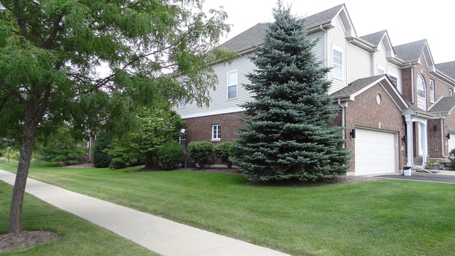 229 Walker Dr, Elburn, IL 60119 photo 3