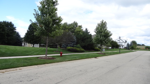 229 Walker Dr, Elburn, IL 60119 photo 4