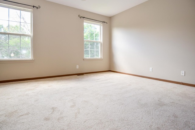 13951 S Oregon Dr, Plainfield, IL 60544 photo 10