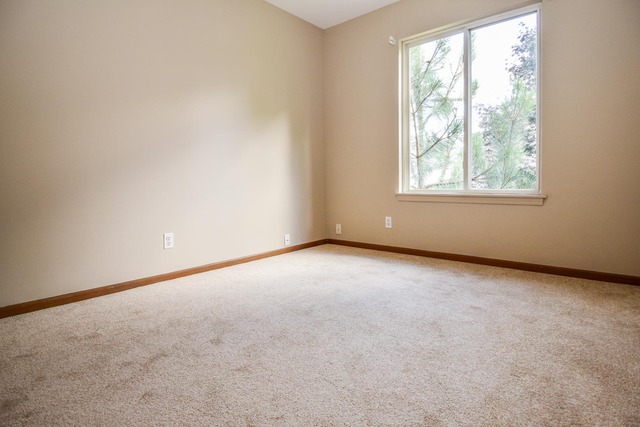 13951 S Oregon Dr, Plainfield, IL 60544 photo 11