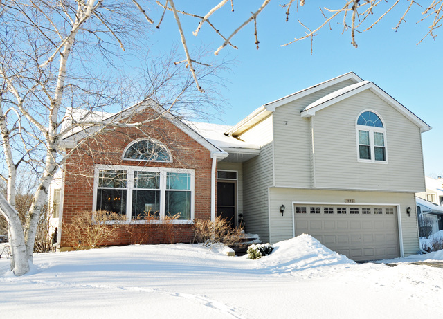 426 Millwood Dr, Bartlett, IL 60103 photo 1