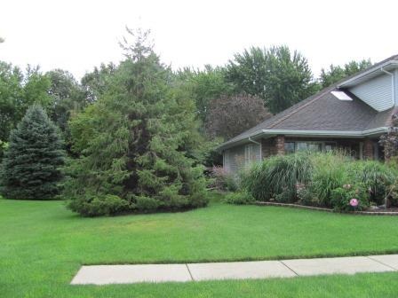 616 Center St, Mazon, IL 60444 photo 25