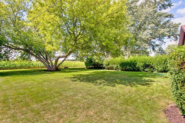 5813 Greenview Rd, Oakwood Hills, IL 60013 photo 23
