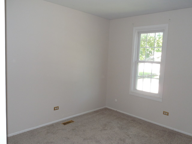 511 Dee Ln, Roselle, IL 60172 photo 21
