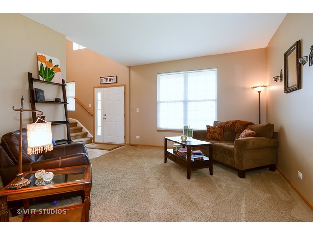 7007 Twin Falls Dr, Plainfield, IL 60586 photo 2