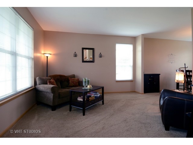 7007 Twin Falls Dr, Plainfield, IL 60586 photo 3