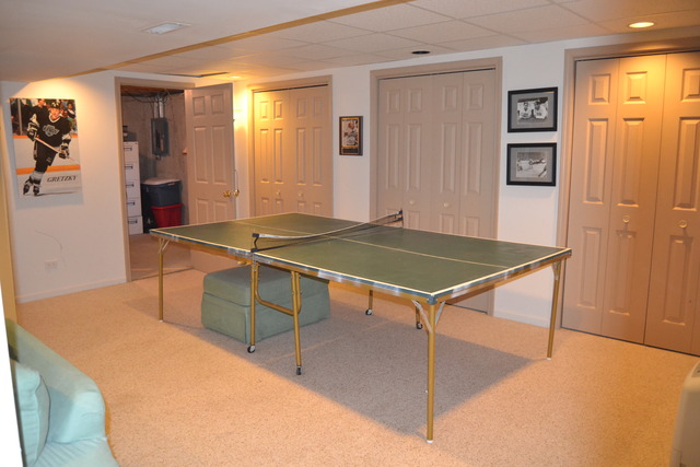 17 Citation Cir, Wheaton, IL 60189 photo 22