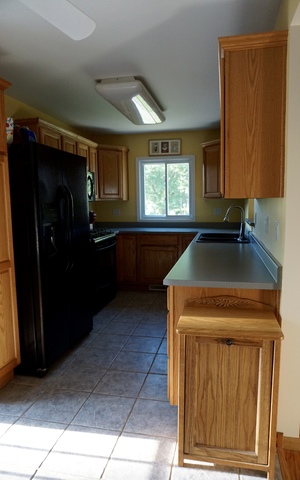 114 Homewood Dr, Genoa, IL 60135 photo 4