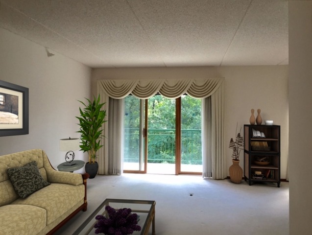 1685 Mill St #507, Des Plaines, IL 60016 photo 3