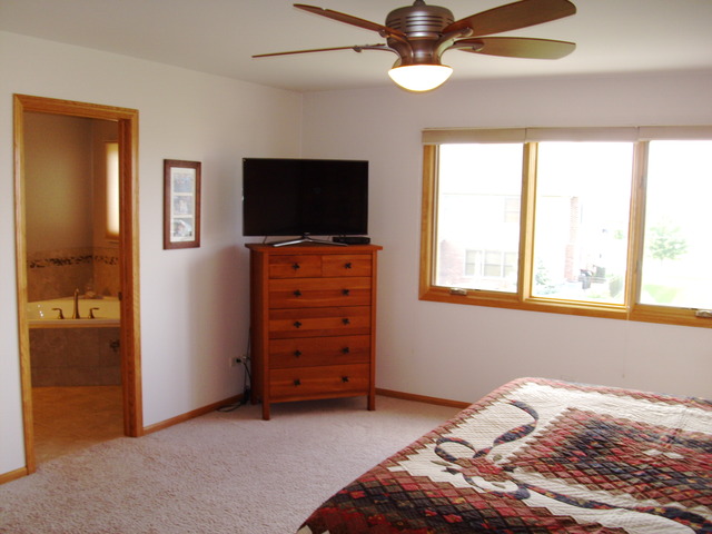 17618 Harper Rd, Tinley Park, IL 60487 photo 11
