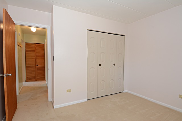214 E Bailey Rd #E, Naperville, IL 60565 photo 13