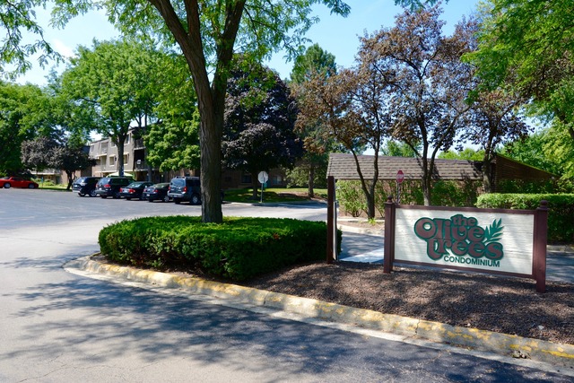 214 E Bailey Rd #E, Naperville, IL 60565 photo 18
