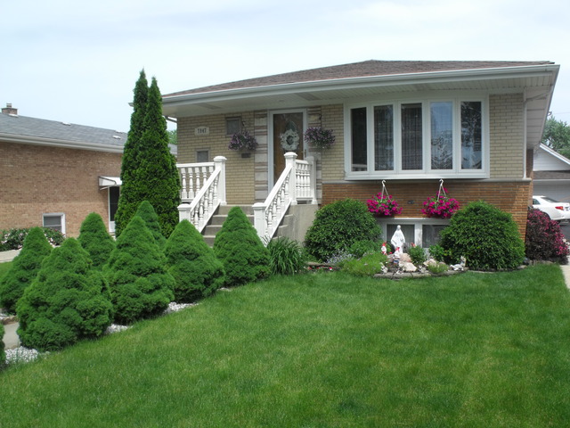 7947 Menard Ave, Burbank, IL 60459 photo 1