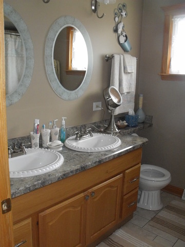 7947 Menard Ave, Burbank, IL 60459 photo 8