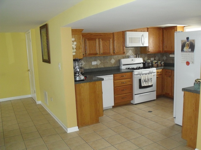 7947 Menard Ave, Burbank, IL 60459 photo 15