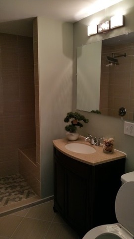 1151 E 85th St, Chicago, IL 60619 photo 16