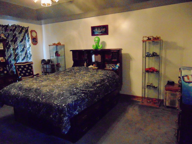 6513 Walter Adamic Ln, Plainfield, IL 60586 photo 8