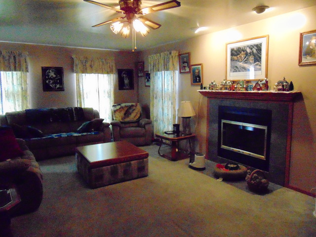 6513 Walter Adamic Ln, Plainfield, IL 60586 photo 3