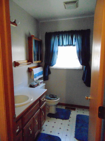 6513 Walter Adamic Ln, Plainfield, IL 60586 photo 12