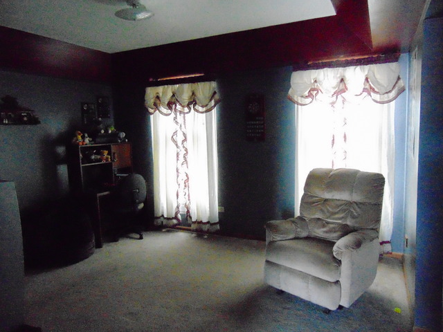 6513 Walter Adamic Ln, Plainfield, IL 60586 photo 6