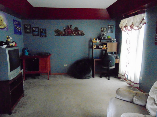 6513 Walter Adamic Ln, Plainfield, IL 60586 photo 7