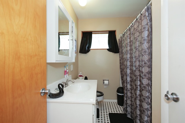181 S Union St, Elgin, IL 60123 photo 8