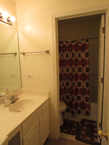 6712 Sahara Dr, Plainfield, IL 60586 photo 16