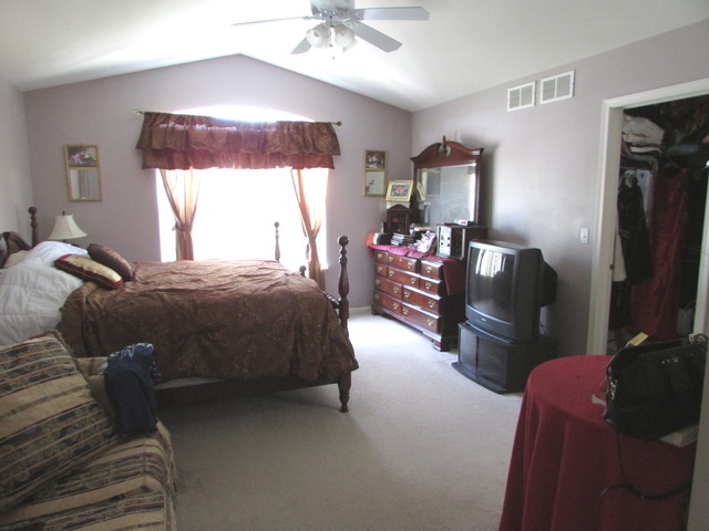 6712 Sahara Dr, Plainfield, IL 60586 photo 11