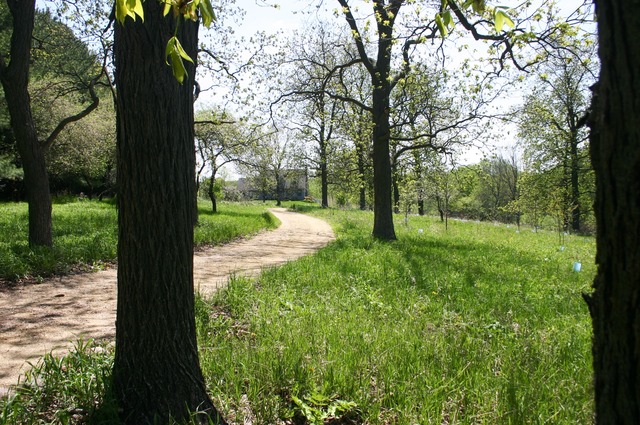 13503 Obrien Rd, Hebron, IL 60034 photo 9