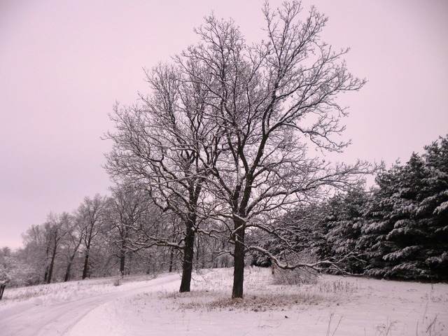 13503 Obrien Rd, Hebron, IL 60034 photo 10