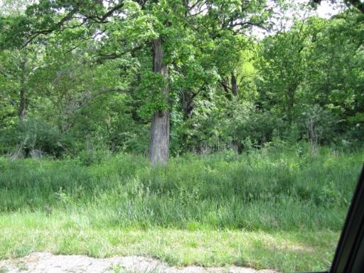 2909 E 1989th Rd, Ottawa, IL 61350 photo 2