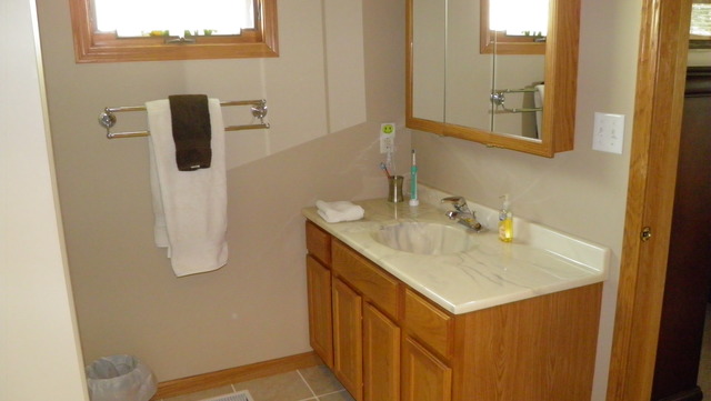 606 Jaffe St, Plano, IL 60545 photo 9
