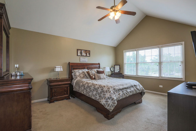2019 Torwood Cir, Plainfield, IL 60586 photo 15