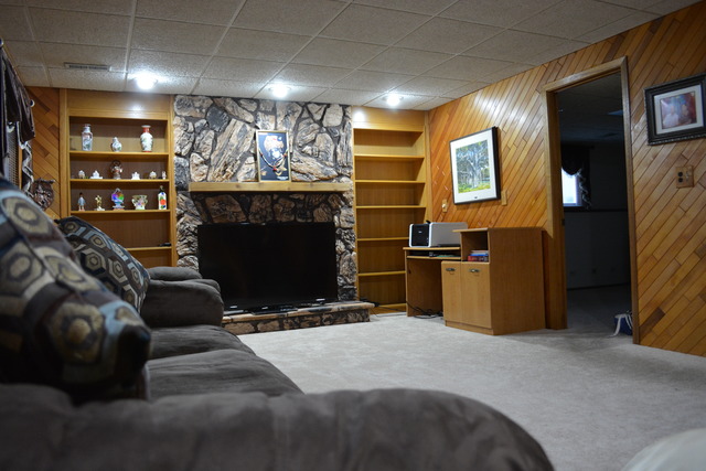 1165 Pinetree Ln, Bartlett, IL 60103 photo 8