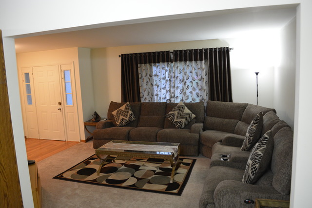 1165 Pinetree Ln, Bartlett, IL 60103 photo 3