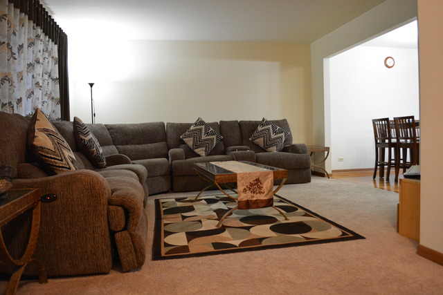 1165 Pinetree Ln, Bartlett, IL 60103 photo 2