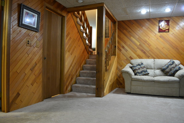 1165 Pinetree Ln, Bartlett, IL 60103 photo 7