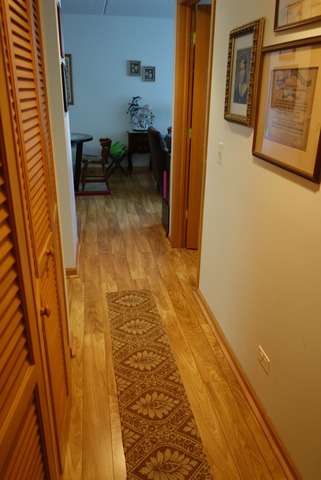 2919 N Harlem Ave #301, Chicago, IL 60707 photo 6