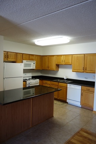 2919 N Harlem Ave #301, Chicago, IL 60707 photo 2