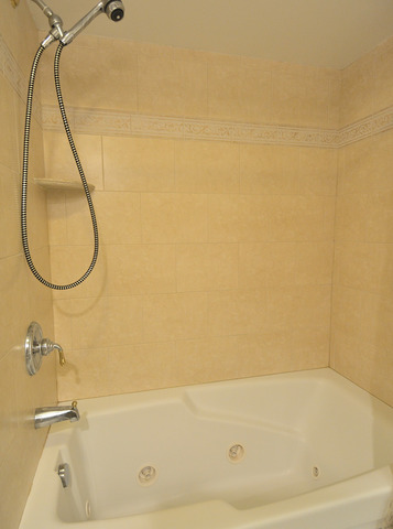 575 Denoyer Trl, Wheeling, IL 60090 photo 13