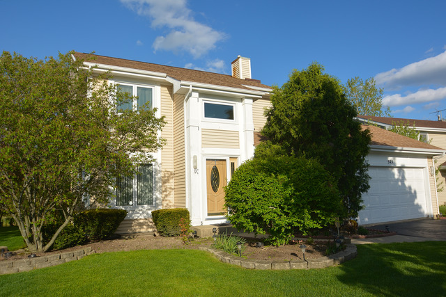 575 Denoyer Trl, Wheeling, IL 60090 photo 2