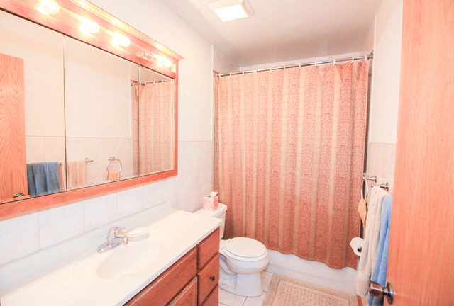 132 E Morrison Ave, Mount Prospect, IL 60056 photo 16