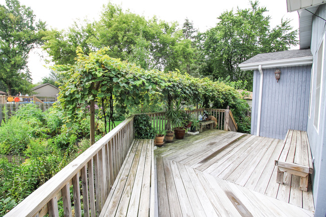 132 E Morrison Ave, Mount Prospect, IL 60056 photo 23